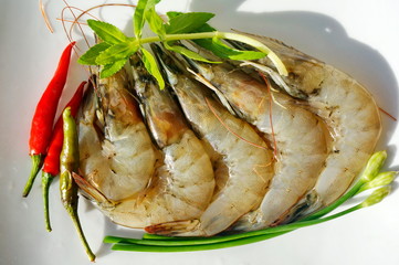 Raw sea prawns and spicy herbs on a white dish.