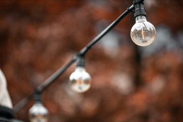 Fototapeta premium Lighting decor. Retro light bulb filament hanging close up. Illuminated.