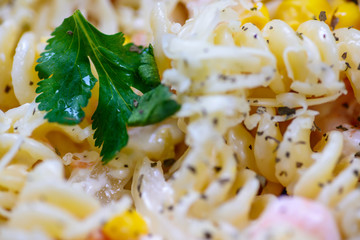 Macrophotography of pasta with parlsey, corn, cheese and herbs