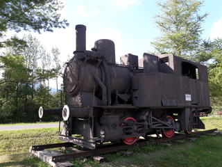 Old Public Train
