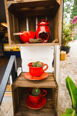 Stylish cactus in a red mug. Photo Collection of decorative cactus plants in design ceramic mini garden frames for luxurious interiors on high gloss red bar table top.