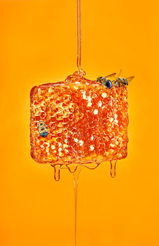 you'll catch more flies with honey than with vinegar