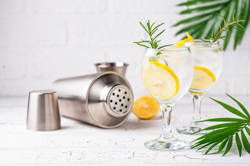 Gin tonic cocktail with lemon