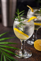 Gin tonic cocktail with lemon