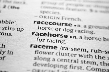 Word or phrase Racehorse in a dictionary.