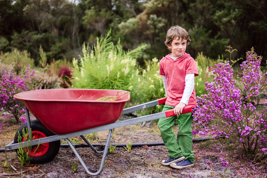 Young boy helping out with boronia harvesting at a boronia farm