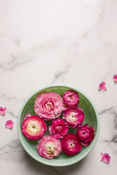 pink ranunculus blooms in a green bowl