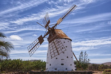 fuerteventura windmill