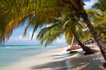 Fototapeta na wymiar Dominican Republic Caribbean Coastline tropical beach