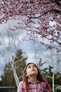 Girl looking at Blossoms