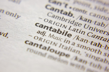 Word or phrase Cantabile in a dictionary.