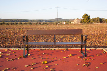 Bench in the countryside close to crop fields