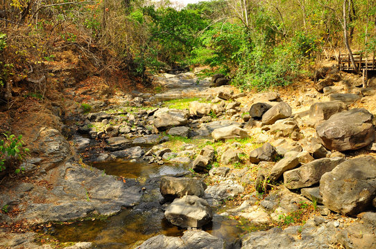 Puyango Petrified Forest
