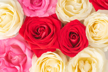 Top closeup view of a group of red, white and pink roses