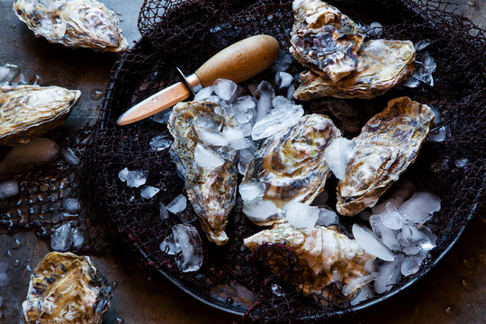 Oysters on ice with oyster knife