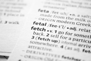 Fototapeta premium Word or phrase Fetch in a dictionary.