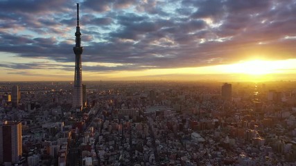 Aerial view 4k video by drone of building tokyo sky tree in Tokyo city  Japan on sunrise. - Powered by Adobe