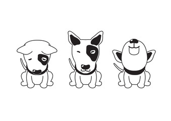 Vector cartoon character bull terrier dog poses for design.