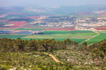 Fototapeta na wymiar Agricultural valley panoramic view from mountain Gilboa. Green fields, arable land and freshwater fish breeding ponds. Beautiful farming countryside Israel