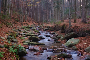 Long exposure photography of a mountain stream in autumn leaves