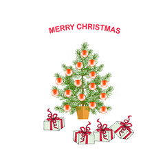 Merry Christmas congratulation card. Fir tree in pot decorated by red ball, box. Green Christmas tree object isolated on white stock vector illustration for web, for print