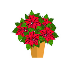 Poinsettia red flower in pot art design object isolated stock vector illustration for web, for print