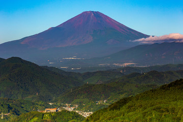 Fototapeta premium 富士山 / Mt.Fuji