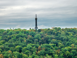 Obraz premium Technology out of the forest with grey sky background 