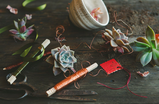 Florist wire, gift tag and succulents
