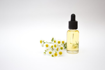 Chamomile essential oil in a glass bottle with a dropper