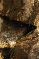Roccia