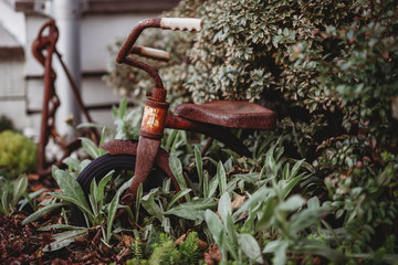 Garden ornaments to decorate your garden. Old rusty bicycle in the garden. Rusty details in the...