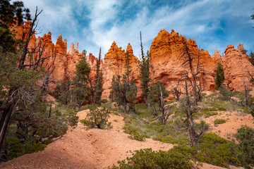 Bryce