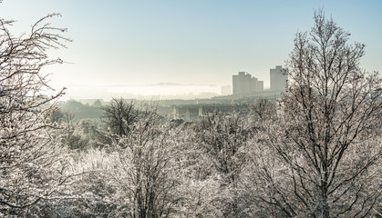 Glasgow Southside buildings on a frosty and misty winter morning in Queens Park, Glasgow, Scotland