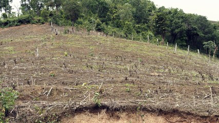 The deforestation problem caused from the expansion of highland farming area by ethnic groups (hill...