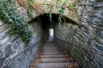 Ruine Hohentwiel
