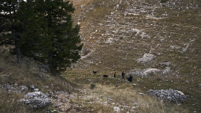 Hikers with dogs on the Vlasic mountain Bosnia and Herzegovina - (4K)