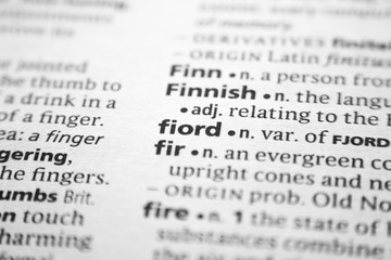 Word or phrase Fiord in a dictionary.