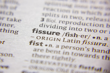 Word or phrase Fissure in a dictionary.