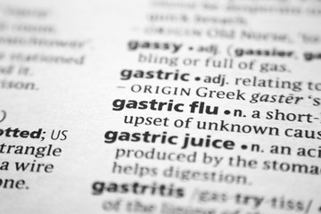 Word or phrase Gastric flu in a dictionary.