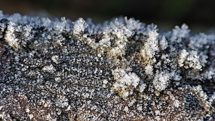 close up from ice crystalls on a branch