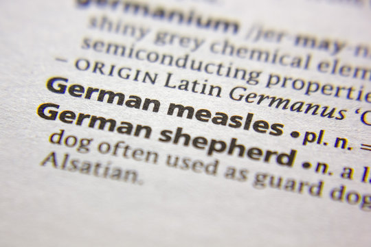 Word Or Phrase German Measles In A Dictionary.