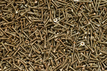 Yellow self-tapping screws with countersunk head, background.