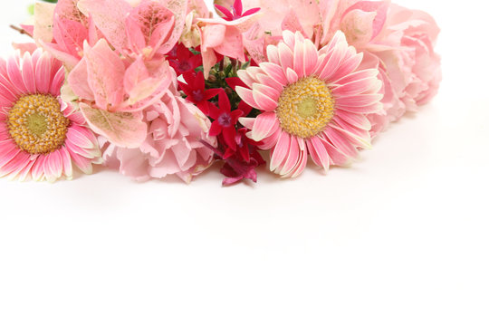 ガーベラ ペンタスとカーネーションの花束 Stock Photo Adobe Stock