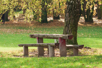 bench in the park