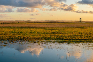Beautiful spring morning landscape at sunrise.