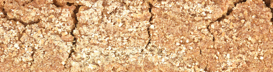 texture of rye bread