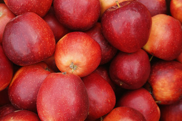 Fototapeta na wymiar Perfect red apples for food texture