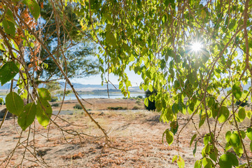 Fototapeta premium Beautiful landscape of Lake Henshaw
