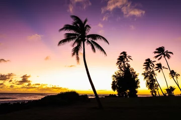 Fototapeten Sunset at Poipu Beach with trees © Laurie